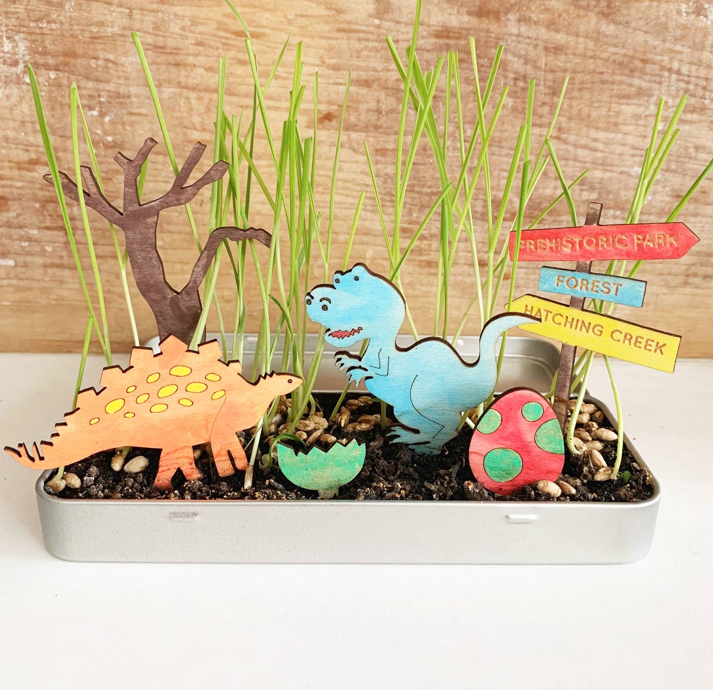 Dinosaur Garden Kit – by Cotton Twist - Grace and Fox