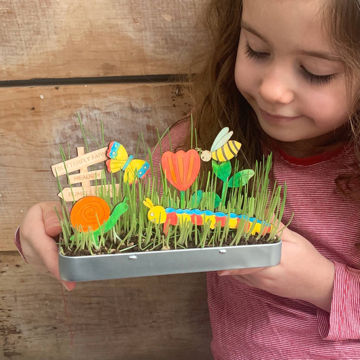Make Your Own Mini Beasts Garden by Cotton Twist - Grace and Fox