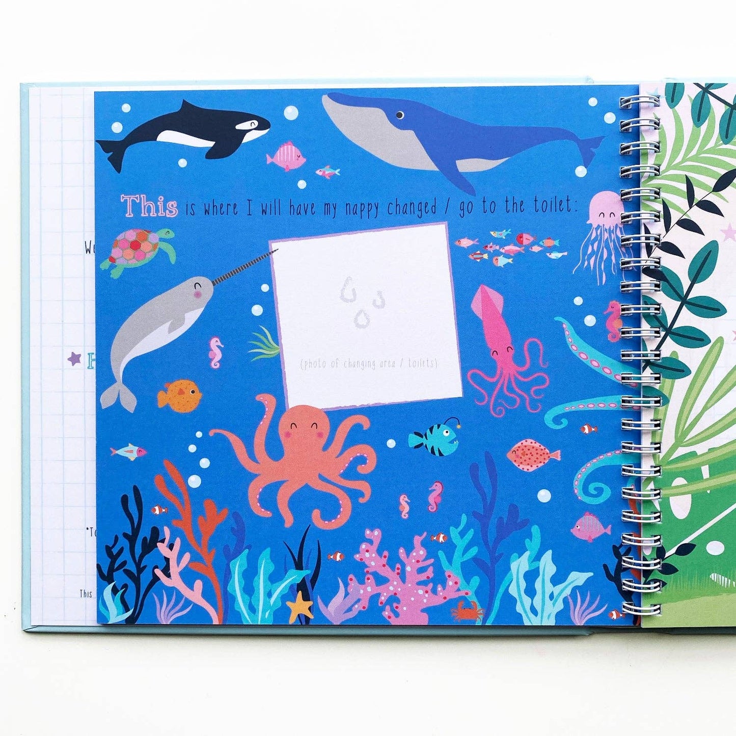 The Tale of Starting Nursery (or preschool) Book - Grace and Fox