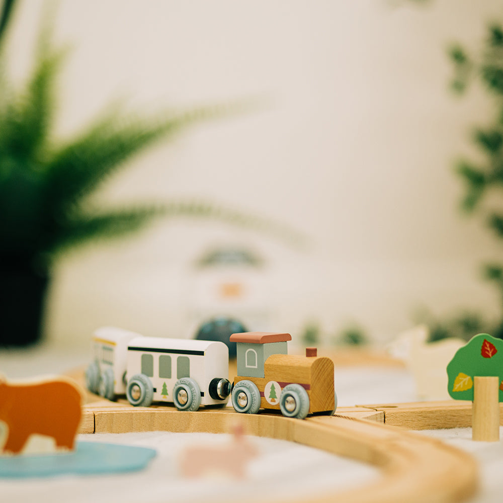 Woodland Animal Train Set