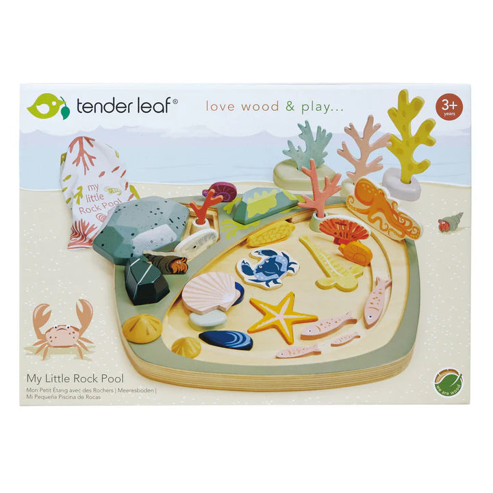 Tender Leaf Toys My Little Rock Pool